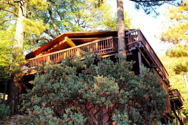 little-cabin-in-the-trees-by-idyllwild-vacation-cabins-850pix-best-front-1.jpg-80f49793-5599-4843-8520-1df6b3d5acdd